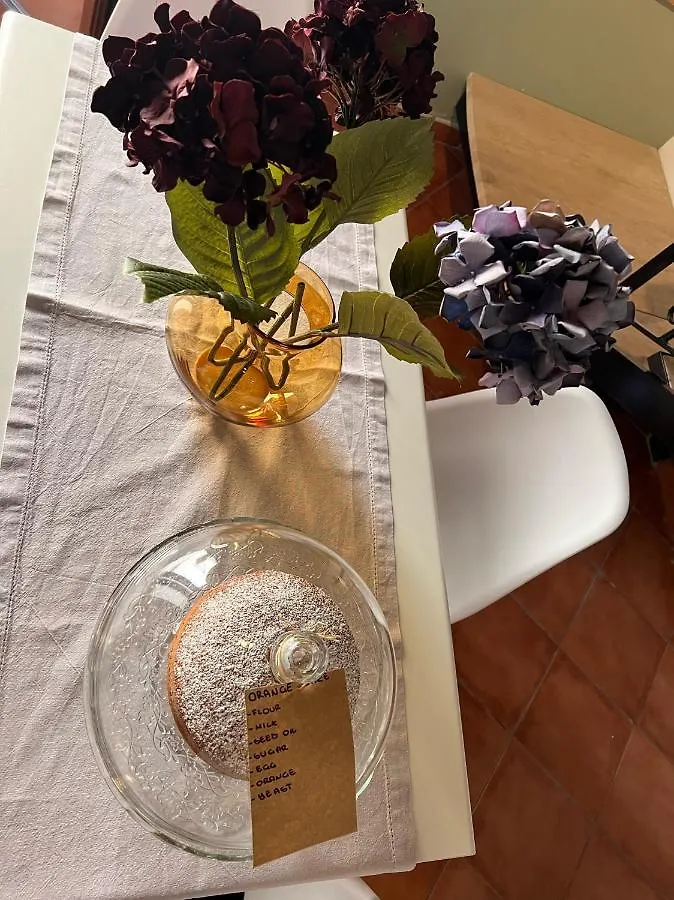 Domus Conte Federico Appartement Palermo